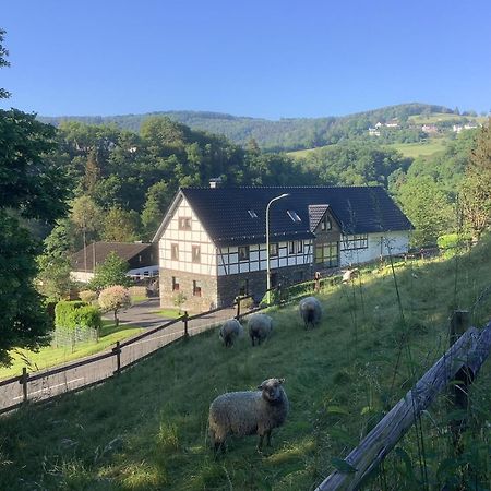 Berg Blick Eifler Bauernhaus Modern Restauriert ジンメラート エクステリア 写真