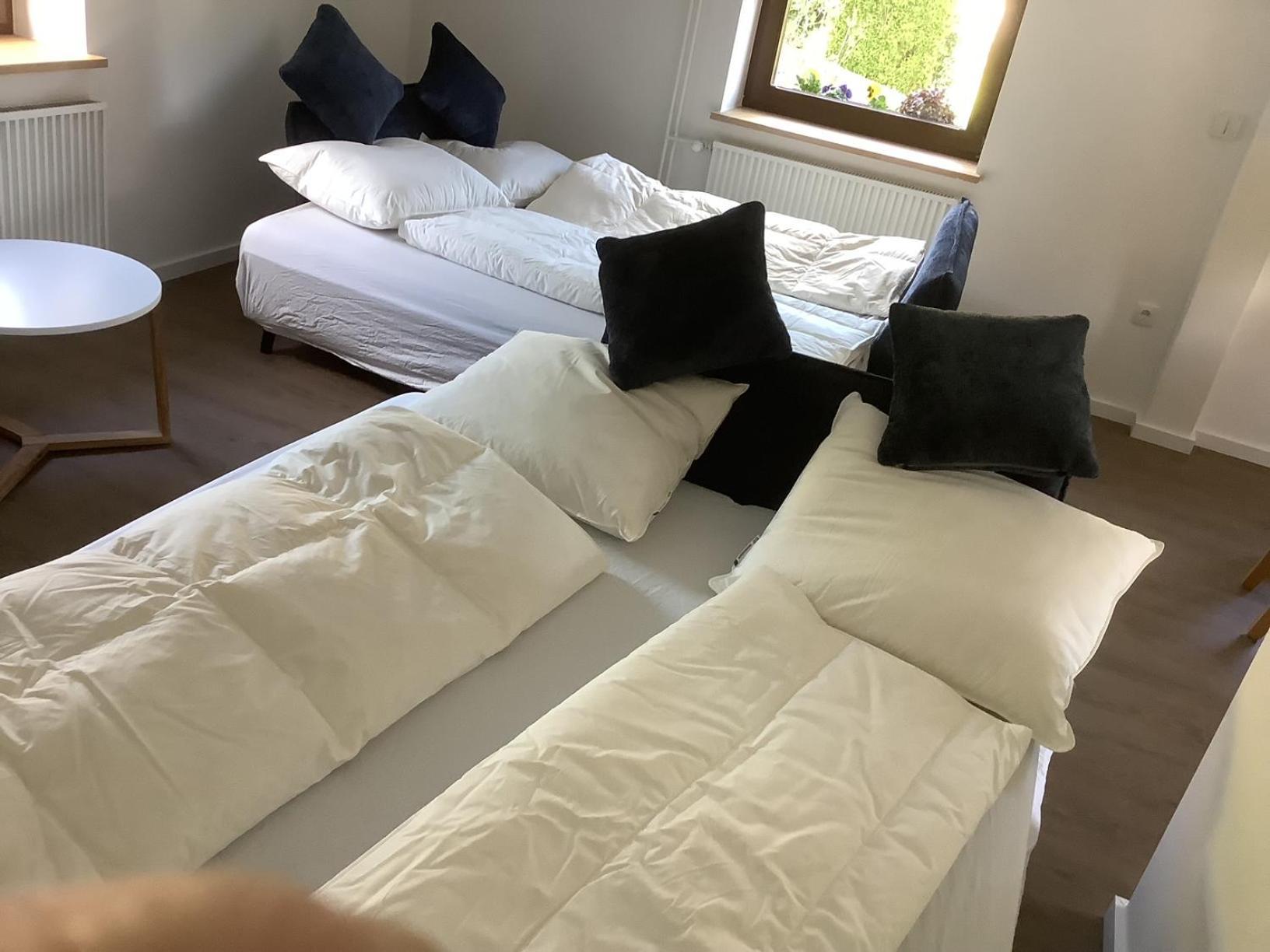 Berg Blick Eifler Bauernhaus Modern Restauriert ジンメラート エクステリア 写真