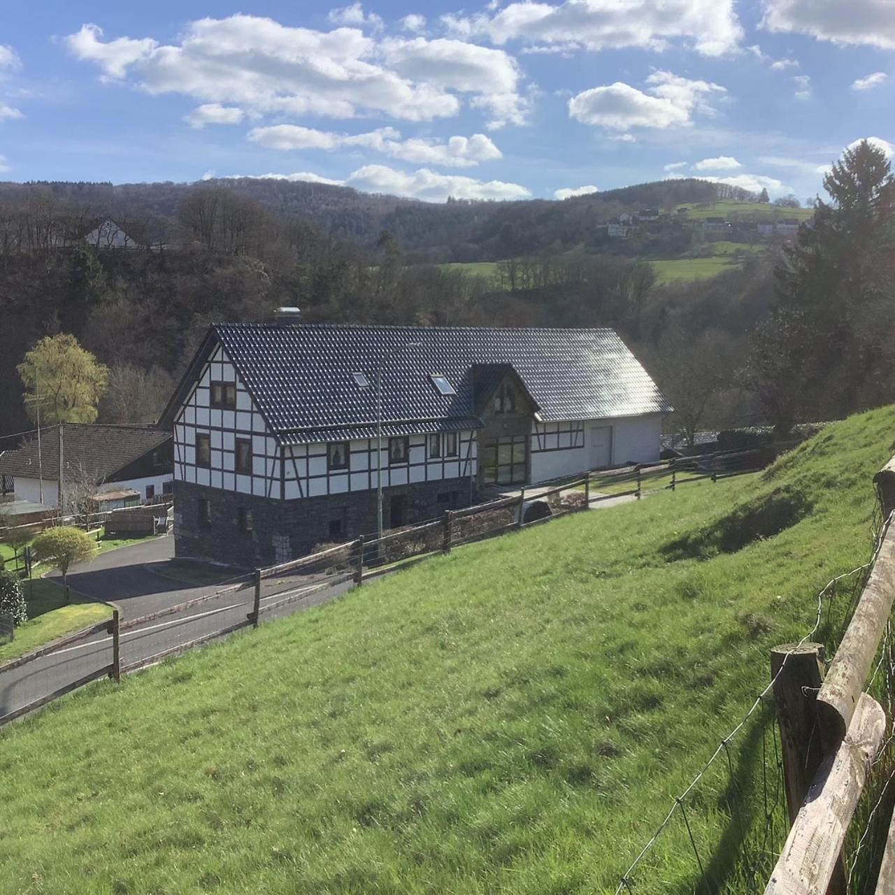 Berg Blick Eifler Bauernhaus Modern Restauriert ジンメラート エクステリア 写真