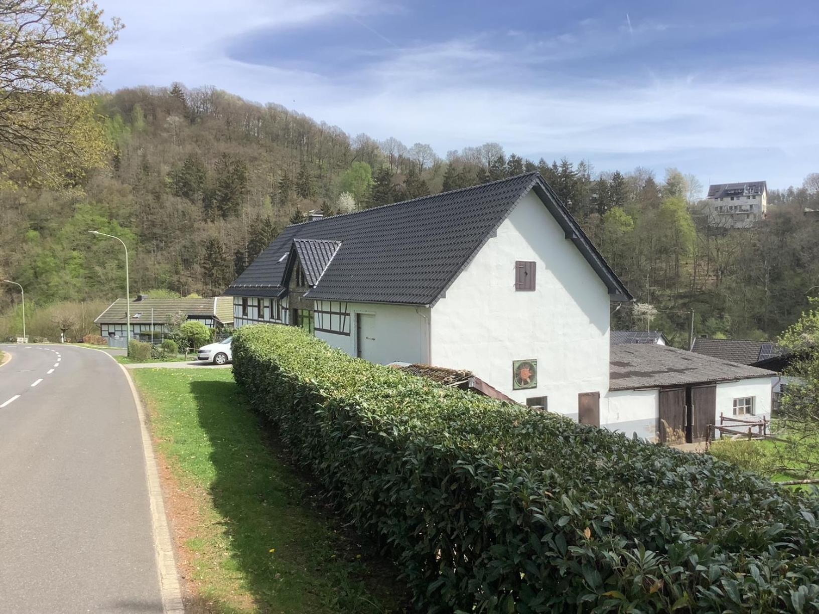 Berg Blick Eifler Bauernhaus Modern Restauriert ジンメラート エクステリア 写真
