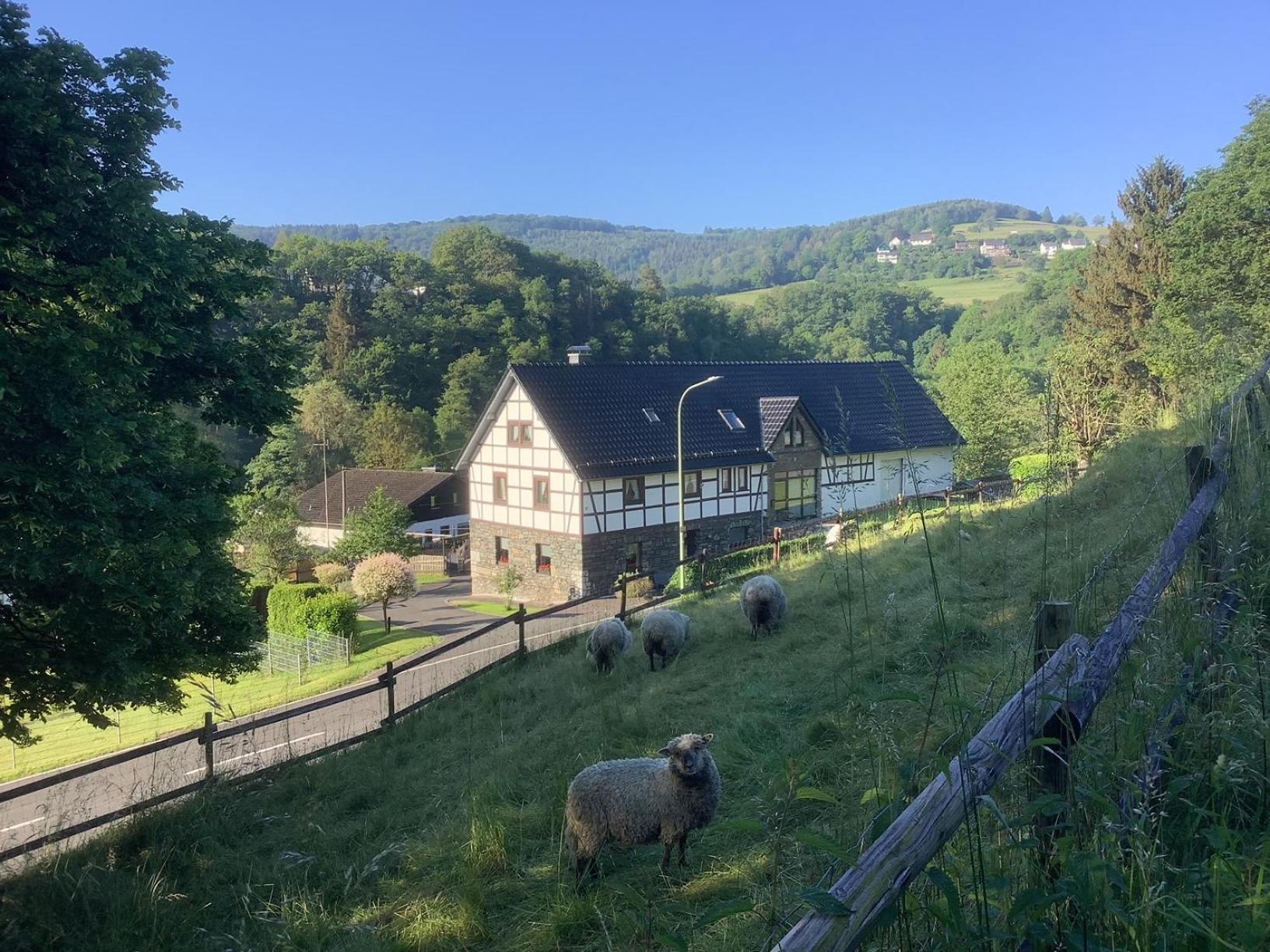 Berg Blick Eifler Bauernhaus Modern Restauriert ジンメラート エクステリア 写真